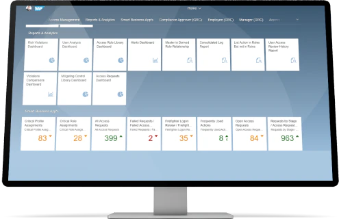 screenshot of SAP Access Control